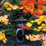 Kőlámpás egy őszi japánkertben, vörös és sárga falevelekkel egy tó mellett, Japán